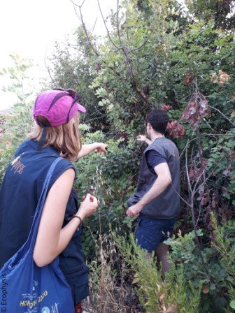 autumn eco tour